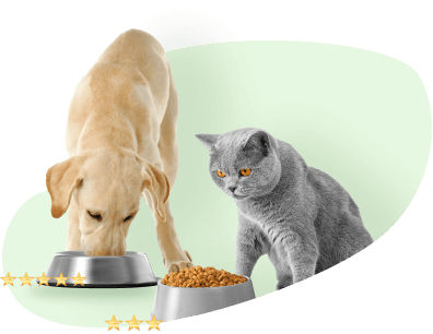 How We Rate Pet Food