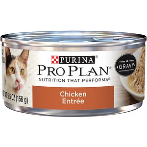 Purina Pro Plan Cat Food Reviews 2022 (0 recipes) - Pet Food Sherpa