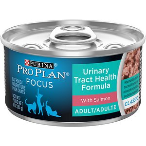 Purina Pro Plan Focus Adult Urinary Tract Health Formula with Salmon Classic Canned Cat Food