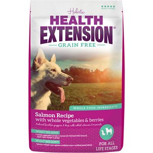 Health Extension Grain-Free Salmon Recipe Dry Dog Food