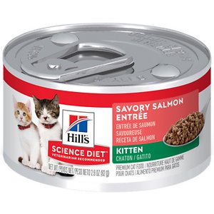 Hill's Science Diet Kitten Savory Salmon Entree Canned Cat Food