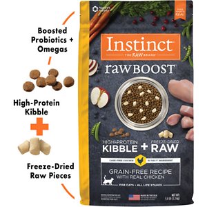 instinct raw cat food recall