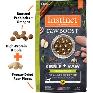 instinct raw boost cat food recall