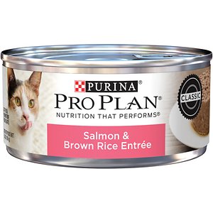 Purina Pro Plan Salmon & Brown Rice Entree Classic Canned Cat Food ...