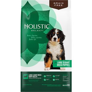 Holistic Select Large & Giant Breed Puppy Lamb & Chicken Meals Natural Grain Free Dry Dog Food