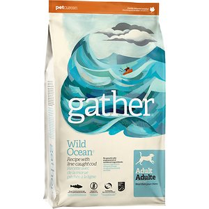 Gather Wild Ocean Line-Caught Cod Dry Dog Food