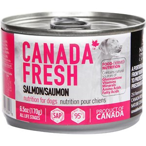 Canada Fresh Salmon Canned Dog Food