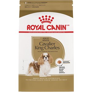 Royal Canin Cavalier King Charles Adult Dry Dog Food