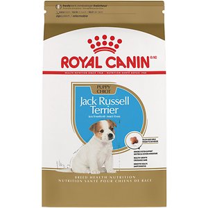 Royal Canin Jack Russell Terrier Puppy Dry Dog Food