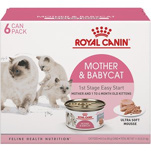 Image of Royal Canin Mother & Babycat Ultra-Soft Mousse in Sauce Wet Cat Food for New Kittens and Nursing or Pregnant Mother Cats