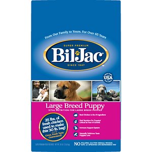 Bil Jac Large Breed Puppy Chicken Recipe Dry Dog Food Review 2021 Pet Food Sherpa