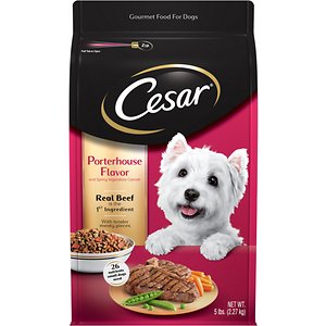 Cesar Dog Food Reviews 2024 56 recipes Pet Food Sherpa