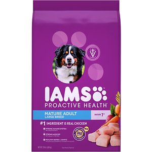 what dog food is better than iams