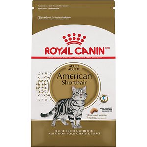 Royal Canin American Shorthair Adult Dry Cat Food
