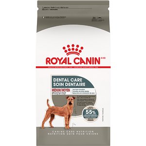 Voel me slecht reinigen Ik was mijn kleren Royal Canin Dental Care Medium Dog Food Review 2023 - Pet Food Sherpa