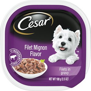 Cesar Filets in Gravy Filet Mignon Flavor Dog Food Trays
