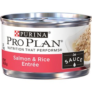 Purina Pro Plan Savor Adult Salmon & Rice Entree in Sauce Canned Cat ...