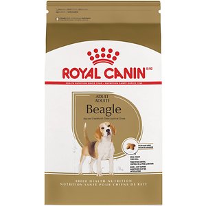 royal canin beagle puppy