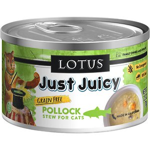 Lotus Cat Food Reviews 2024 18 recipes Pet Food Sherpa