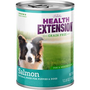 Health Extension Grain-Free Salmon Entree Canned Dog Food