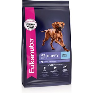 Eukanuba Large Breed Puppy Dry Dog Food