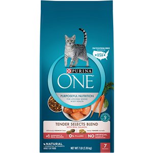Purina ONE Tender Selects Blend with Real Salmon Dry Cat Food