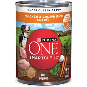 Purina ONE SmartBlend Tender Cuts in Gravy Chicken & Brown Rice Entree ...