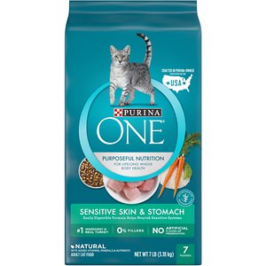 Purina ONE Sensitive Skin & Stomach Dry Cat Food Review 2023 - Pet Food ...