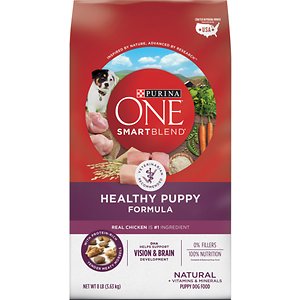 Purina ONE SmartBlend Healthy Puppy Formula Dry Dog Food