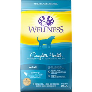 Wellness Complete Health Adult Whitefish & Sweet Potato Recipe Dry Dog ...