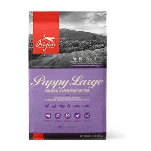 ORIJEN Puppy Large Grain-Free Dry Puppy Food