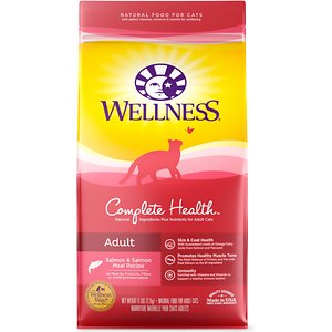 Image of Wellness Complete Health Salmon Adult Dry Cat Food
