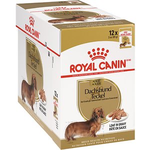 Royal Canin Breed Health Nutrition Dachshund Adult Wet Dog Food