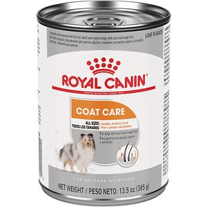 Royal Canin Coat Care Canned Dog Food