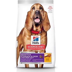 Hill's Science Diet Adult Sensitive Stomach & Skin Large Breed Chicken Recipe Dry Dog Food