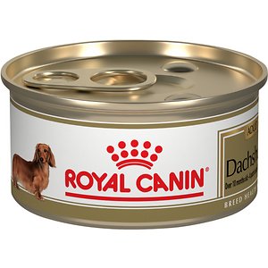 Royal Canin Breed Health Nutrition Dachshund Adult Canned Dog Food