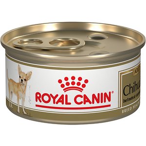 Royal Canin Breed Health Nutrition Chihuahua Adult Canned Dog Food