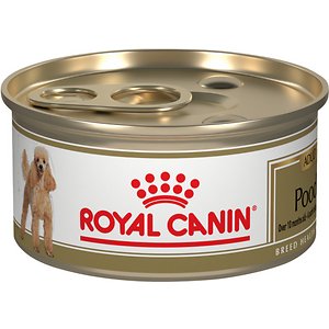 Royal Canin Breed Health Nutrition Poodle Adult Canned Dog Food