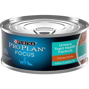Purina Pro Plan Focus Urinary Tract Health Formula Chicken Entree in Gravy Canned Cat Food