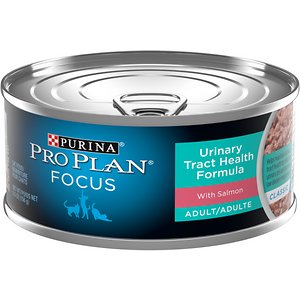 Purina Pro Plan Focus Urinary Tract Health Formula with Salmon Canned Cat Food
