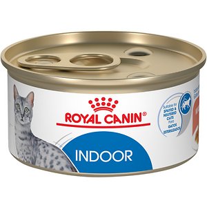 Royal Canin Feline Health Nutrition Indoor Adult Morsels In Gravy Wet Cat Food