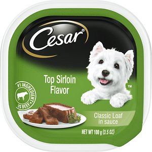 Cesar Classic Loaf in Sauce Top Sirloin Flavor Dog Food Trays