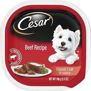 Cesar Classic Loaf in Sauce Beef Recipe Dog Food Trays