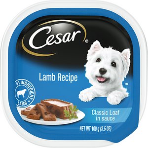 Cesar Classic Loaf in Sauce Lamb Recipe Dog Food Trays