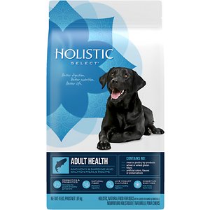 Holistic Select Adult Health Anchovy