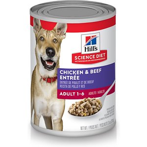 Hill's Science Diet Adult Chicken& Beef Entree Canned Dog Food