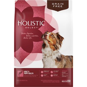 Holistic Select Adult & Puppy Grain-Free Salmon Holistic Select Adult & Puppy Grain-Free Salmon