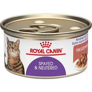 Royal Canin Spayed/Neutered Thin Slices in Gravy Canned Cat Food