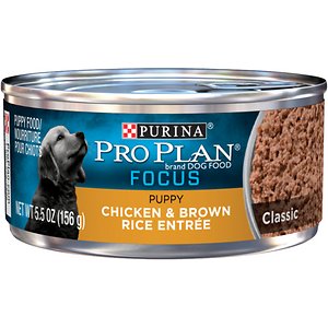 Purina Pro Plan Focus Puppy Classic Chicken & Brown Rice Entree Canned Dog Food