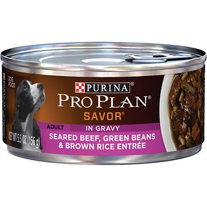 Purina Pro Plan Savor Adult Seared Beef
